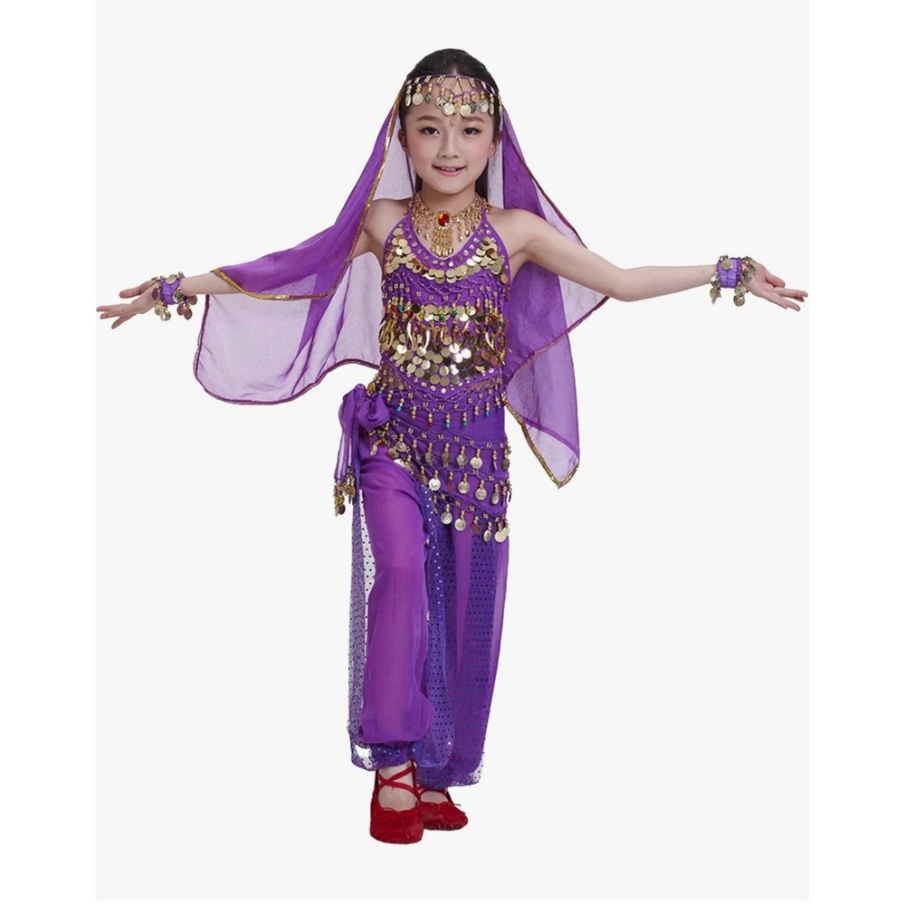 Kids Purple Belly Dance Costume Set Gold Coin Halter Top Harem Pants Veil